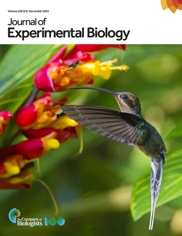 Latest Journal Cover