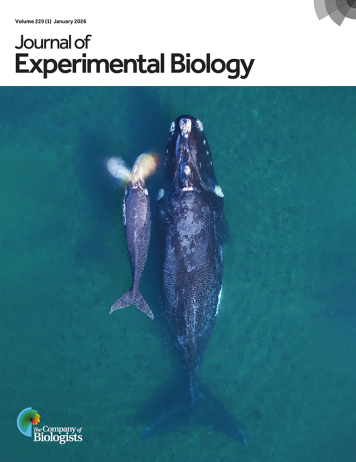 Latest Journal Cover