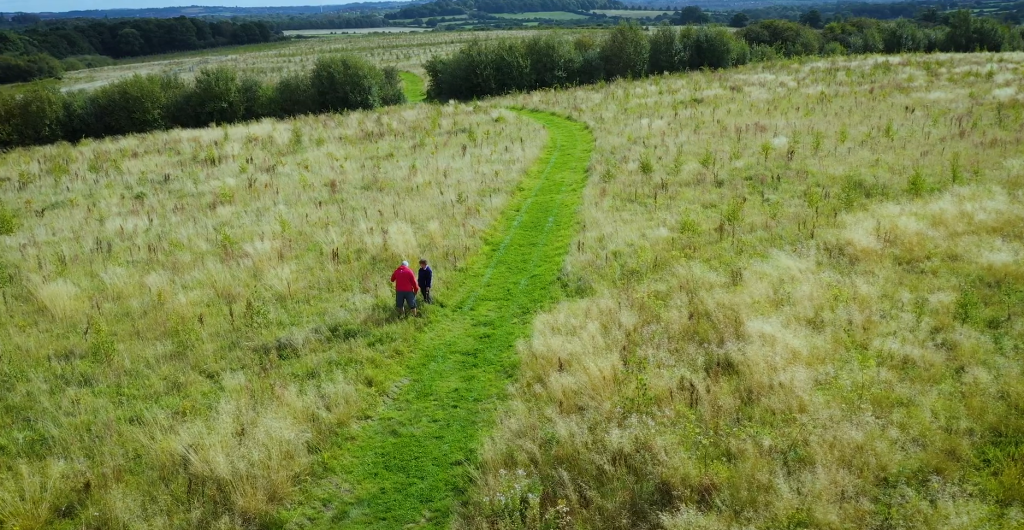 Air shot of the Young People's Forest at Mead, two people walking