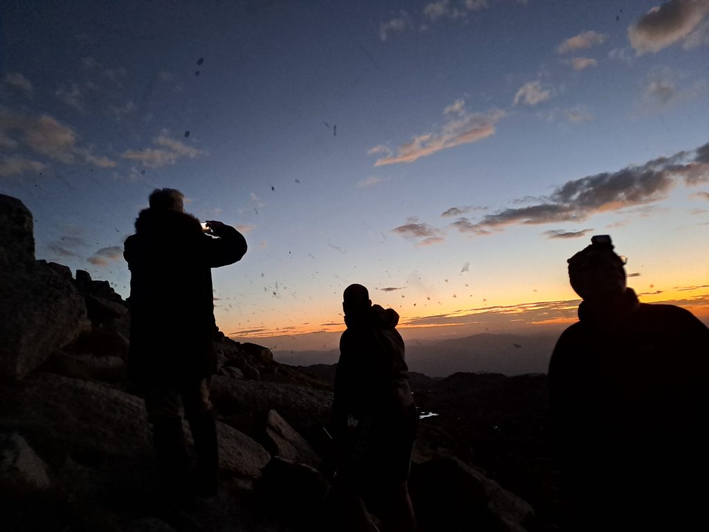 At sunset, three researchers shown while countless moths are flying around them. 