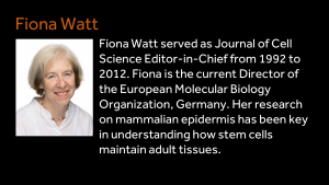 Fiona Watt - Fiona Watt served as Journal of Cell Science Editor-in-Chief from 1992 to 2012. Fiona is the current Director of the European Molecular Biology Organization, Germany. Her research on mammalian epidermis has been key in understanding how stem cells maintain adult tissues.