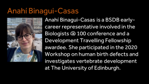 Anahi Binagui-Cases - Anahi Binagui-Cases is a BSDB early-career representative involved in the Biologists @ 100 conference and a Development Travelling Fellowship awardee. She participated in the 2020 Workshop on human birth defects and investigates vertebrate development at The University of Edinburgh.