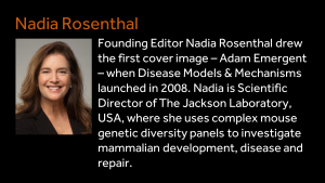 Nadia Rosenthal - Founding Editor Nadia Rosenthal drew the first cover image – Adam Emergent – when Disease Models & Mechanisms launched in 2008. Nadia is Scientific Director of The Jackson Laboratory, USA, where she uses complex mouse genetic diversity panels to investigate mammalian development, disease and repair. 