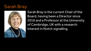 Sarah Bray - Sarah Bray is the current Chair of the Board, having been a Director since 2016 and a Professor at the University of Cambridge, UK with a research interest in Notch signalling.