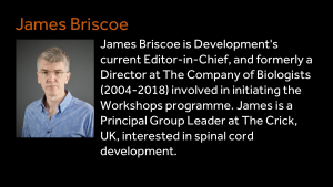 James Briscoe - James Briscoe is Development's current Editor-in-Chief, and formerly a Director at The Company of Biologists (2004-2018) involved in initiating the Workshops programme. James is a Principal Group Leader at The Crick, UK, interested in spinal cord development. 