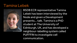 Tamina Lebek - BSDB ECR representative Tamina Lebek has been interviewed by the Node and given a Development presents… talk. Tamina is a PhD student at The University of Edinburgh, UK, and has developed a neighbour-labelling system called PUFFFIN to investigate cell communication. 