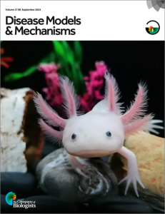 Cover of Disease Models & Mechanisms, volume 17 issue 9, showing an axolotl